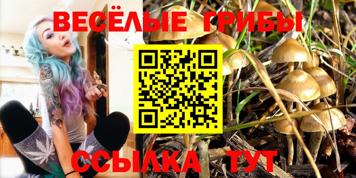 Артёмовский  Галлюциногенные грибы мицелий  Галлюциногенные грибы Psilocybe  Вход с VPN 